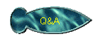 Q&A