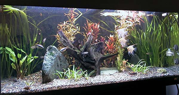 Biotop Amazonka