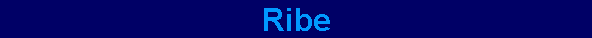 Ribe